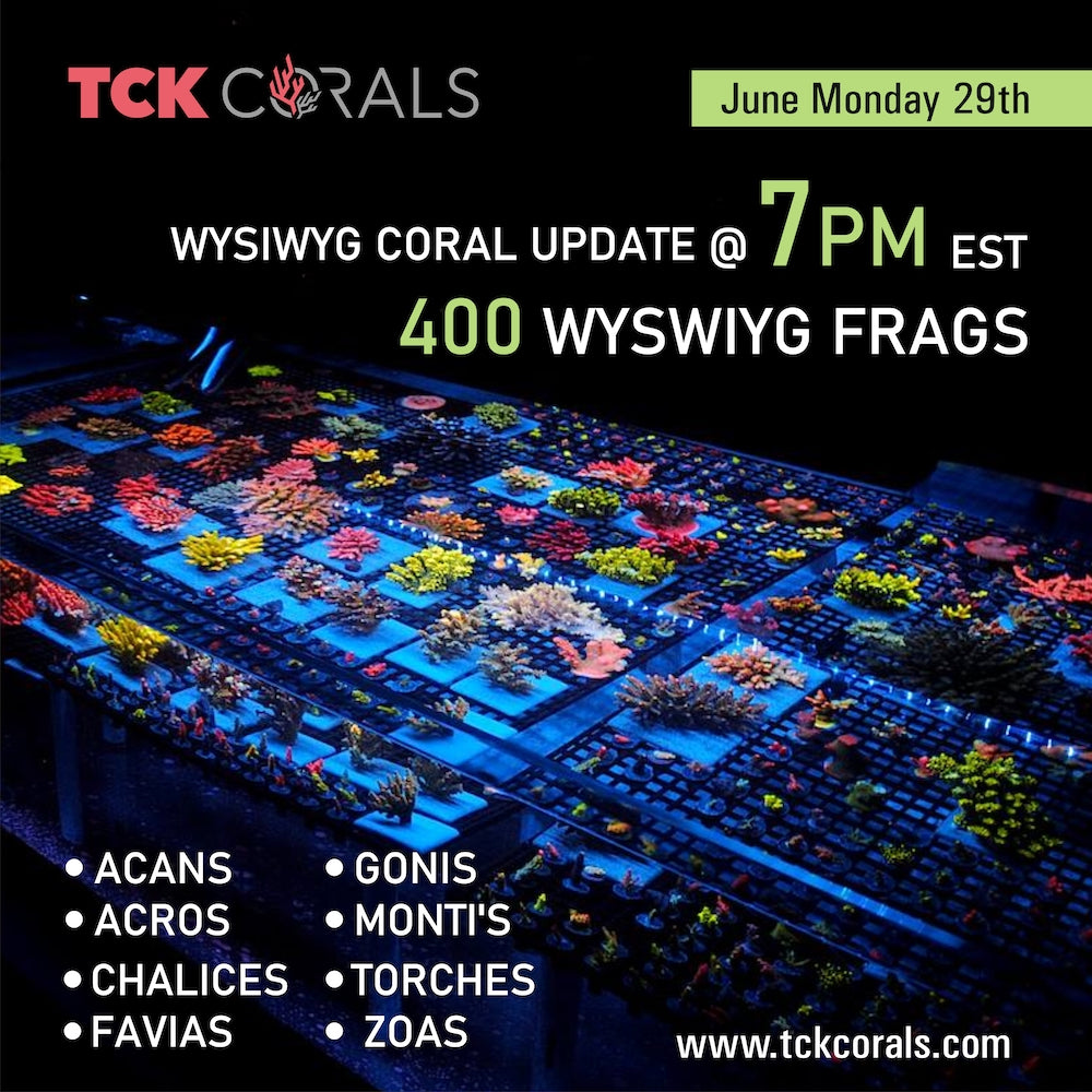 New Update 6.29.20 Going Live Tonight at 7pm!