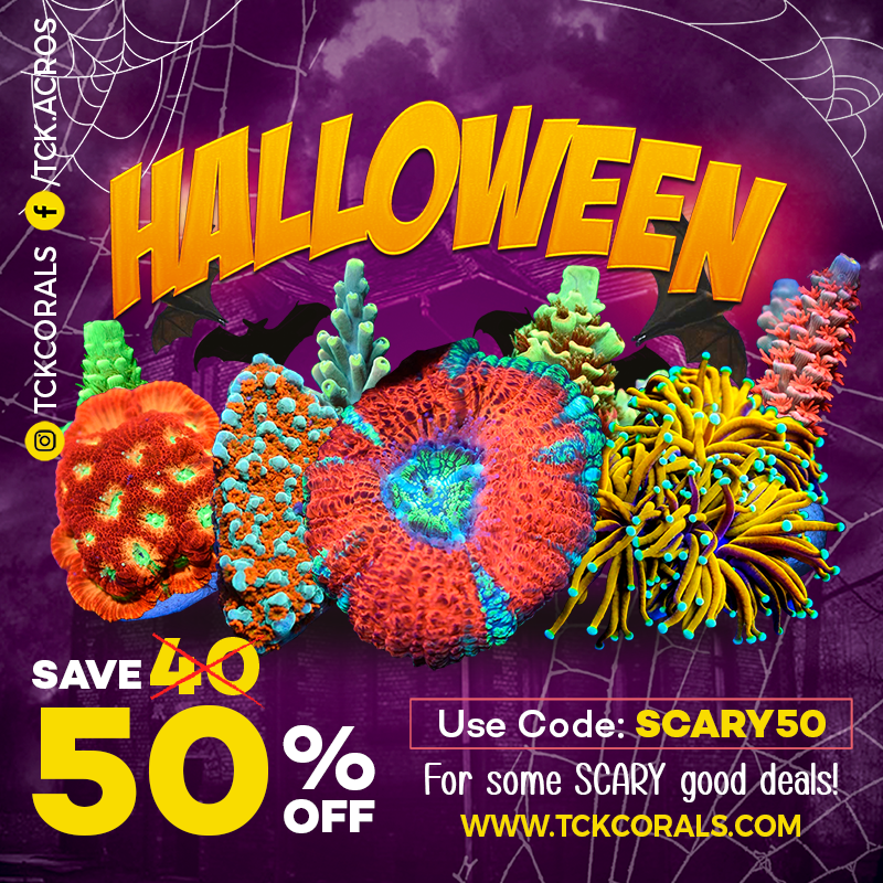 Halloween Sale