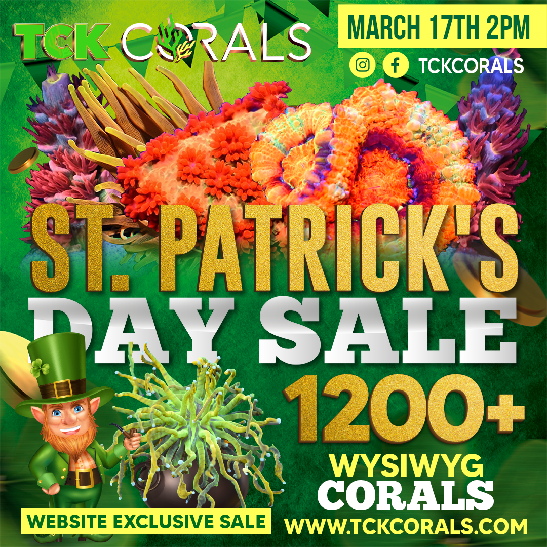 St. Patrick's Day Sale