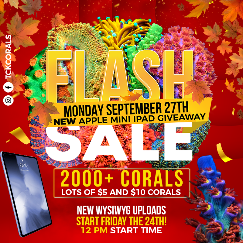 Fall Flash Sale