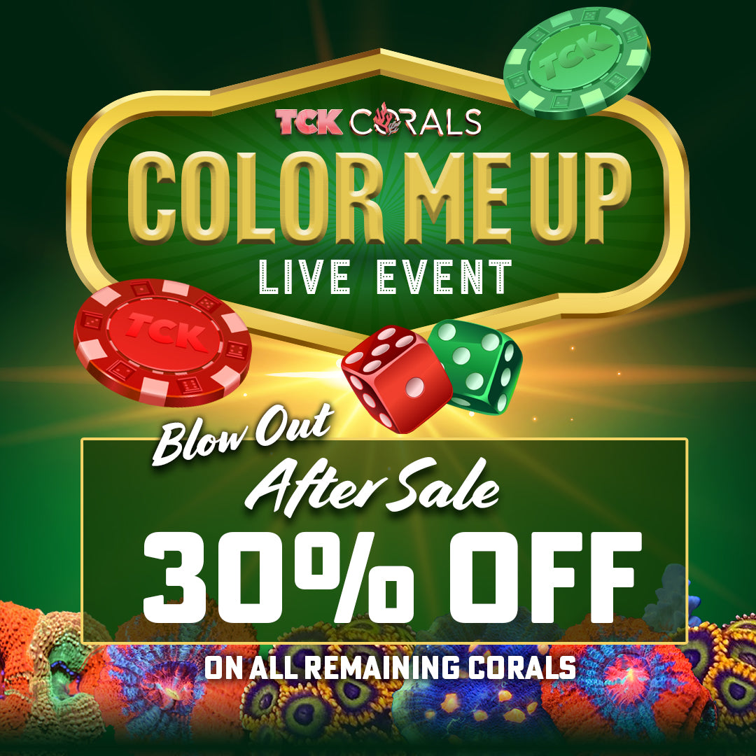 After Sale Going On Now! 30% OFF all remaining corals!