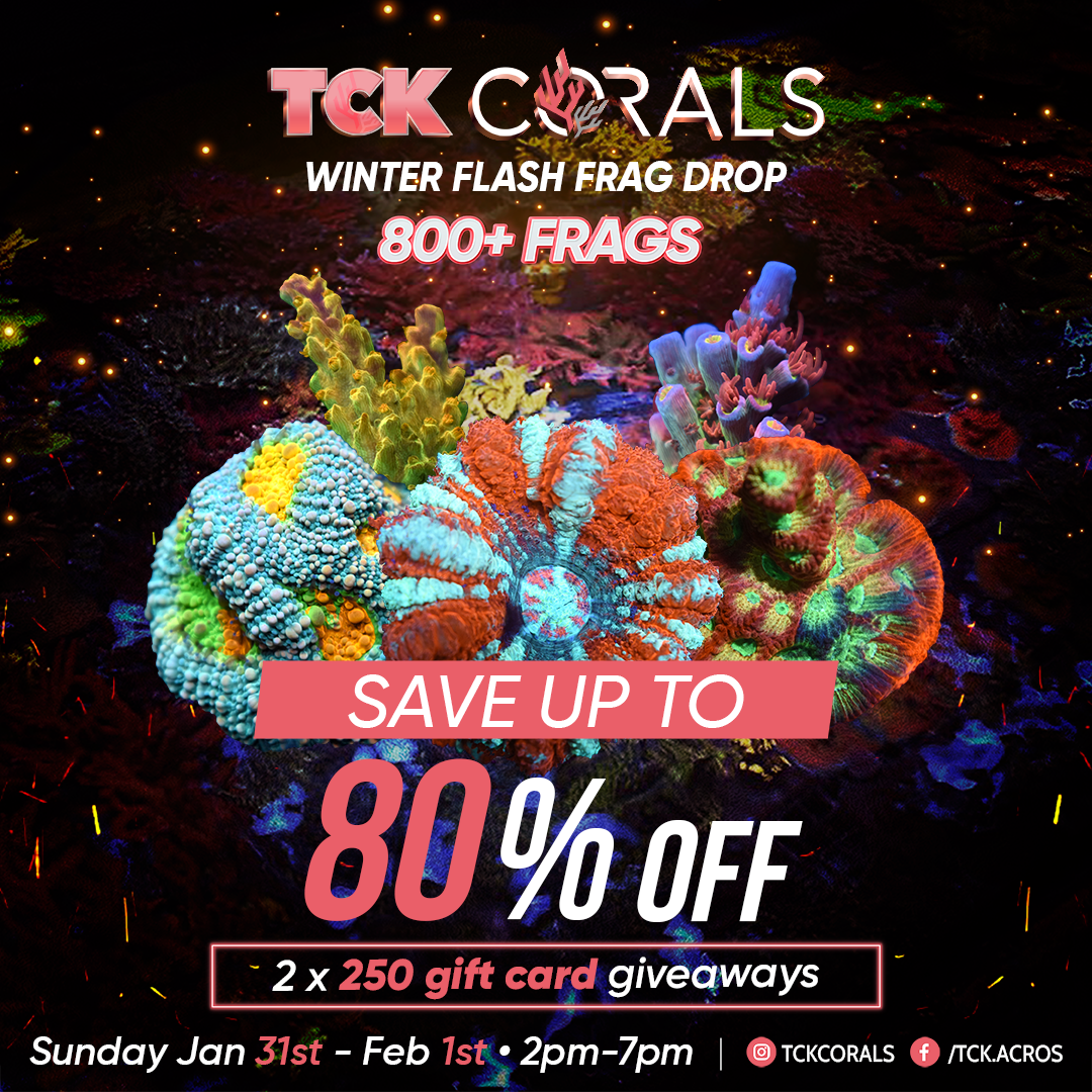 Winter Flash Frag Sale 1.31 - 1.2