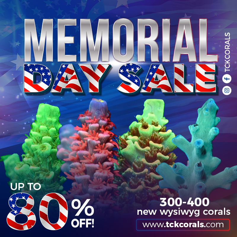 Memorial Day Sale 2021