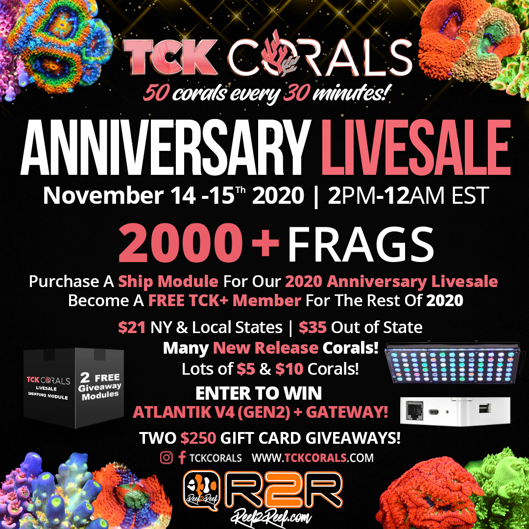 2020 Anniversary Sale