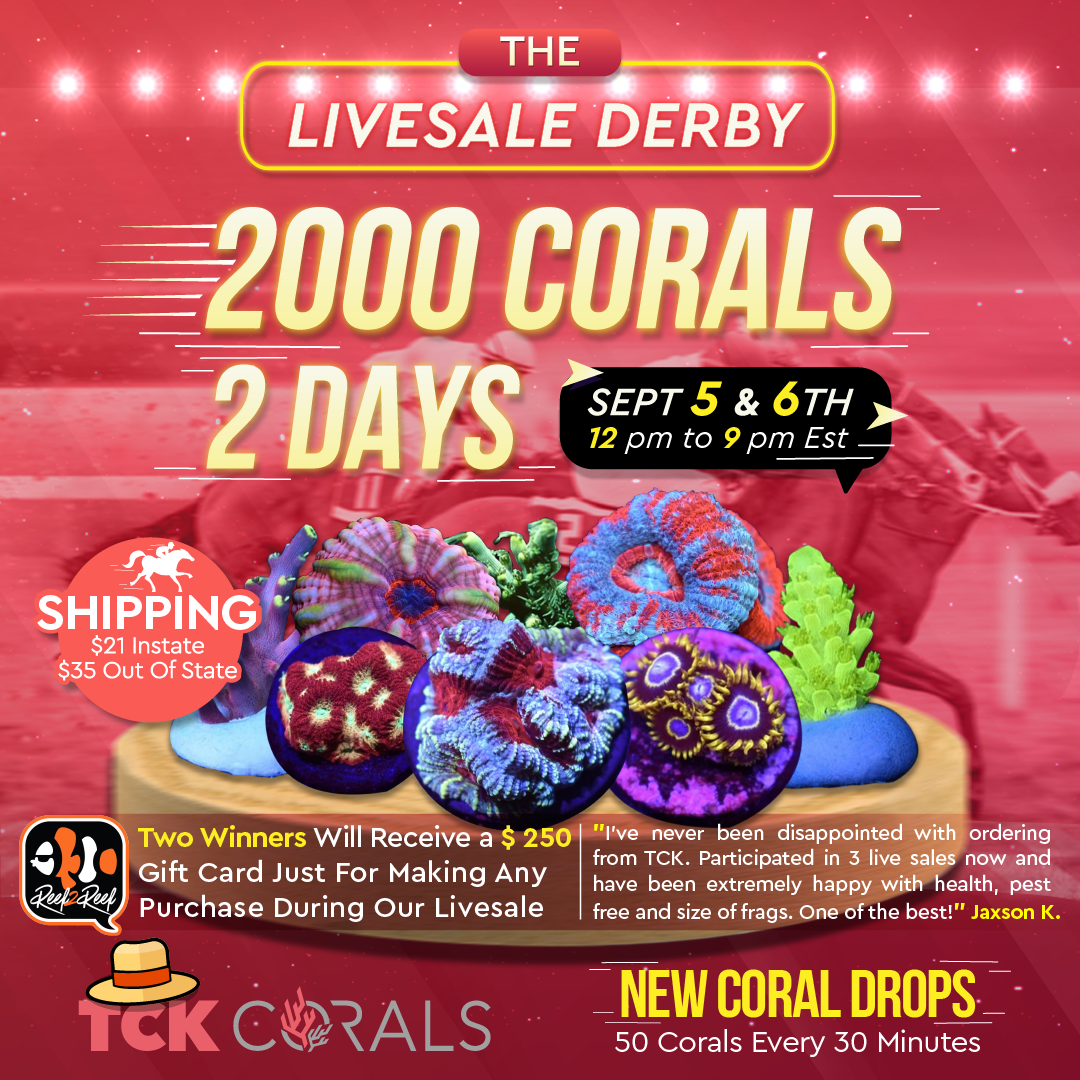 The Livesale Derby Sale!