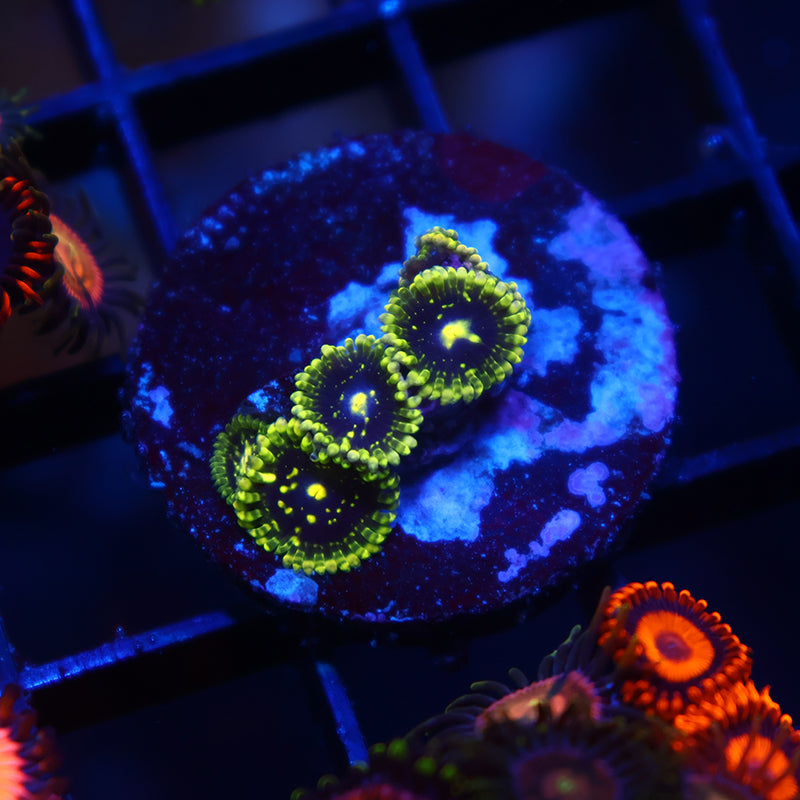 Exospheres