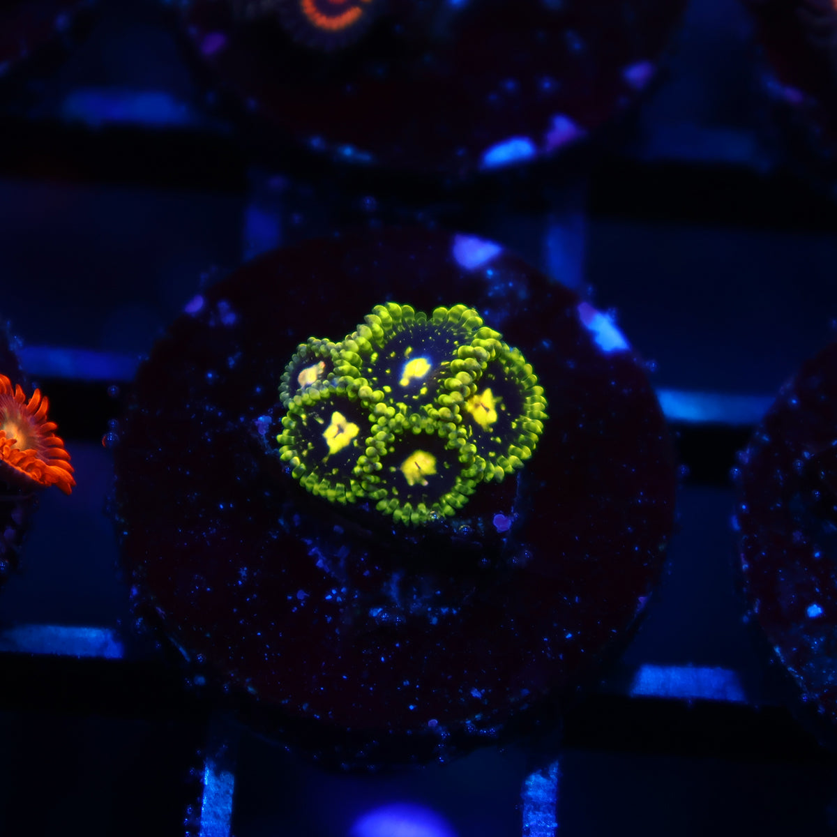 Exospheres