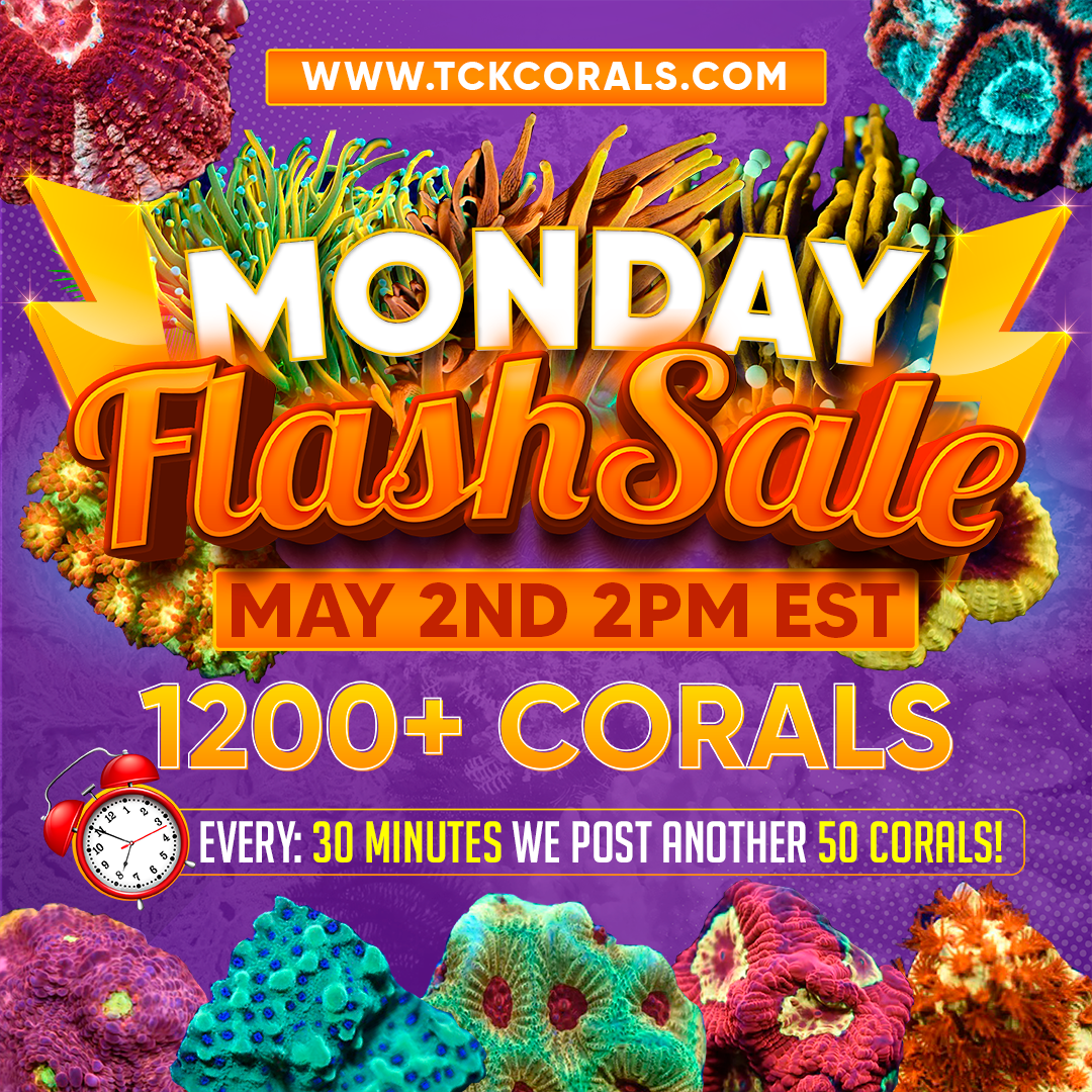 Monday May 2nd Flash Sale 1200+ Corals