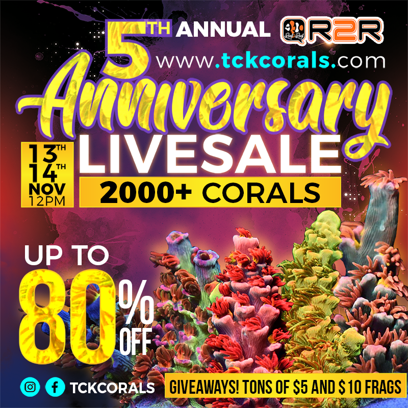 5th Annual Anniversary R2R Livesale November 13th!