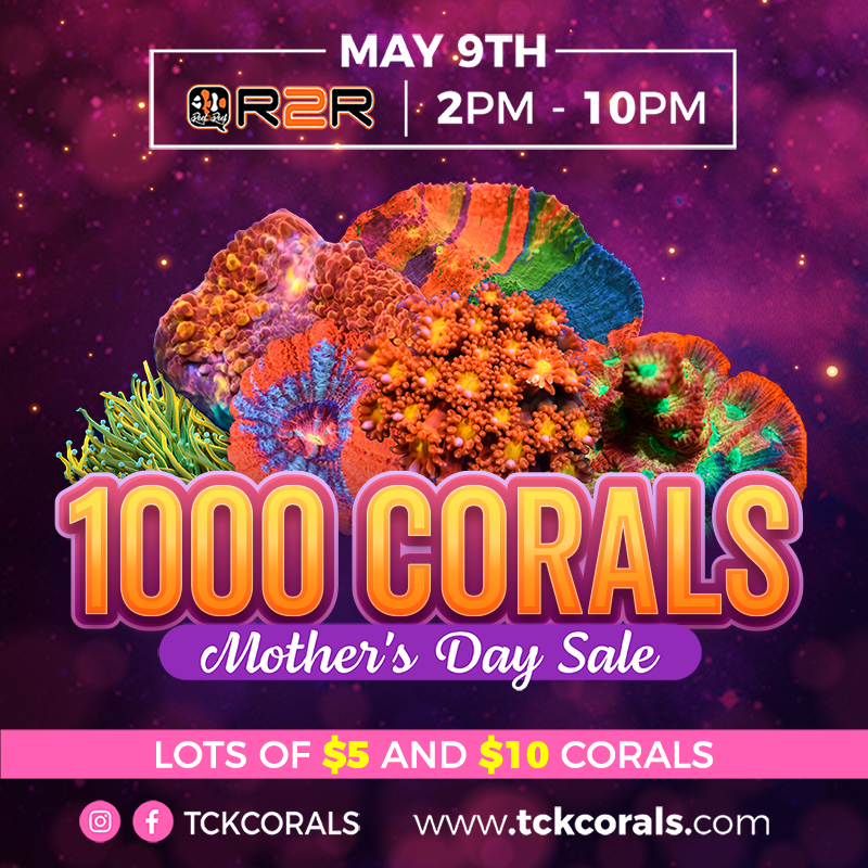 TCK Mother's Day Live Flash Sale!!! - Sunday 5/9 @ 2pm EST