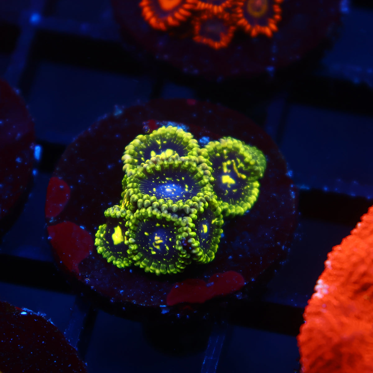 Exospheres