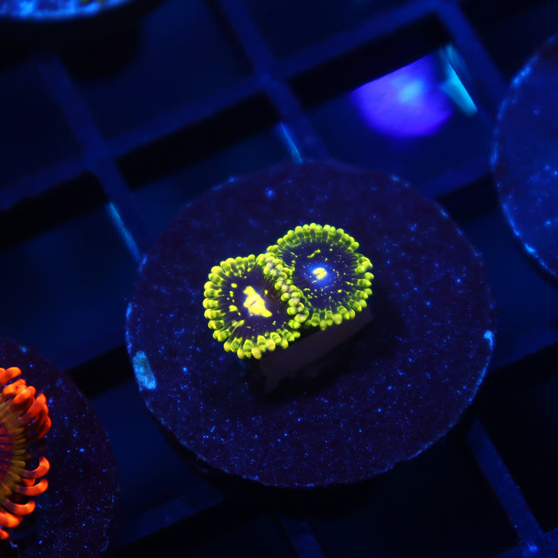 Exospheres