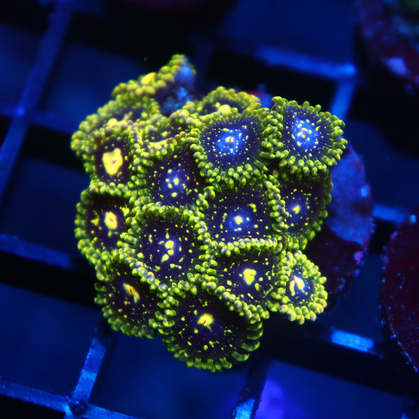 Exospheres