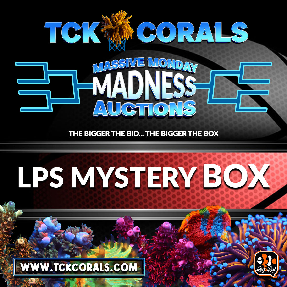 LPS MYSTERY BOX