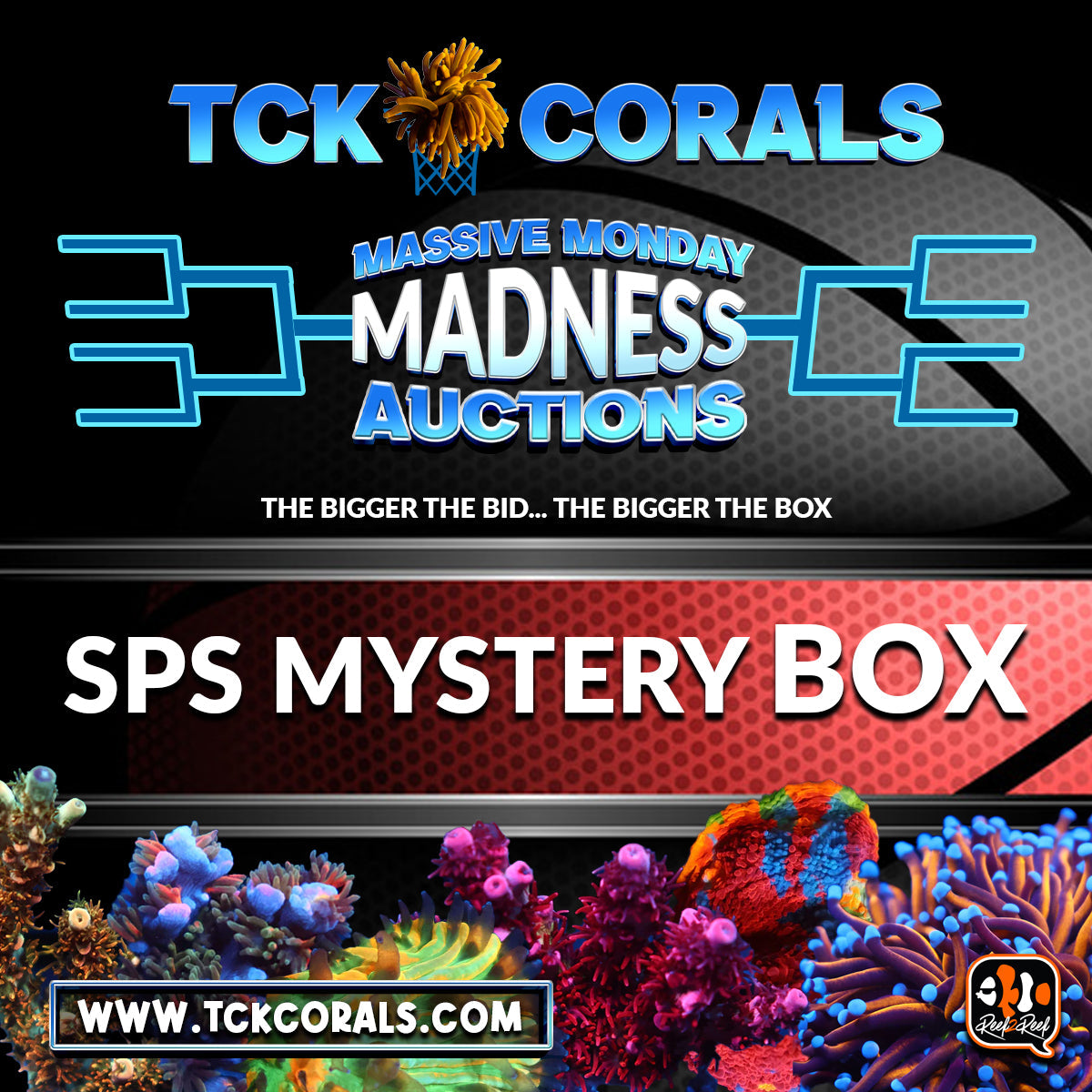 SPS MYSTERY BOX