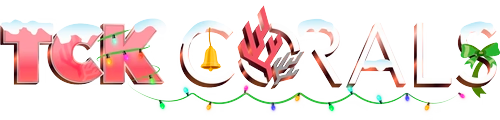STOCK - TCK Insane Flame Tip Goniopora