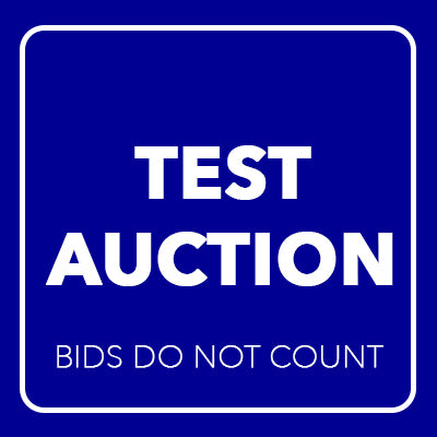 Test Auction