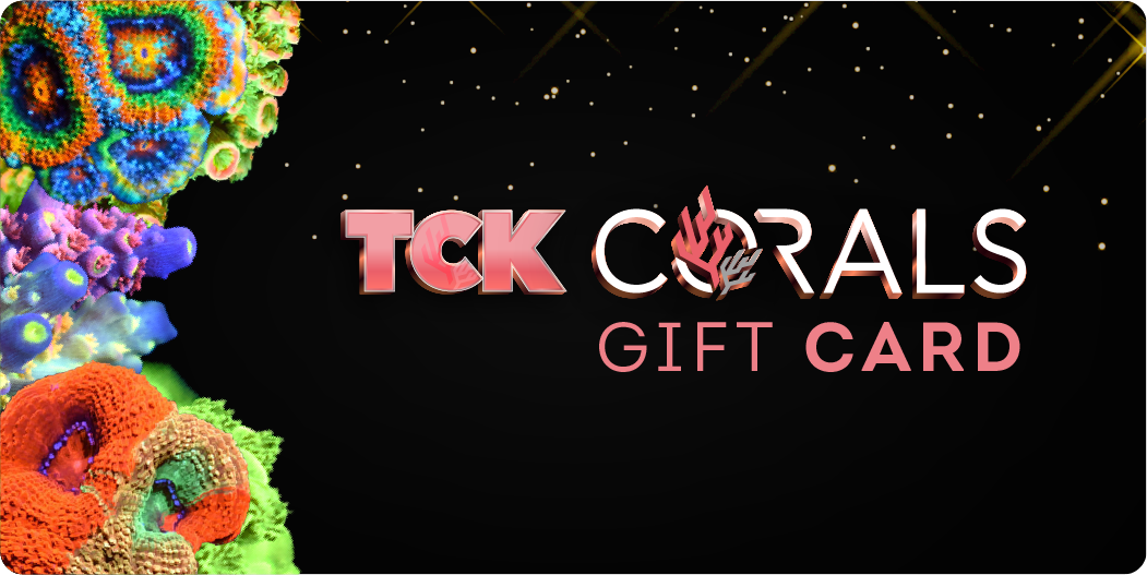 TCKCorals Gift Card - TCKCorals